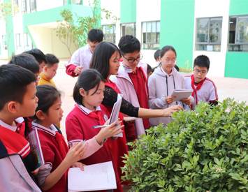 Hoạt động trải nghiệm sáng tạo: Đưa môn sinh học trở nên gần gũi với Lomoers khối 6