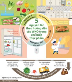 TUYÊN TRUYỀN VỀ VỆ SINH AN TOÀN VÀ PHÒNG CHỐNG NGỘ ĐỘC THỰC PHẨM