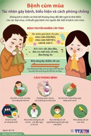 TRUYỀN THÔNG PHÒNG CHỐNG BỆNH CÚM MÙA TRUYỀN THÔNG PHÒNG CHỐNG BỆNH CÚM MÙA