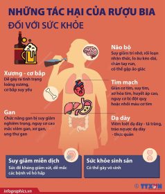 TUYÊN TRUYỀN PHÒNG CHỐNG TÁC HẠI CỦA RƯỢU, BIA TUYÊN TRUYỀN PHÒNG CHỐNG TÁC HẠI CỦA RƯỢU, BIA